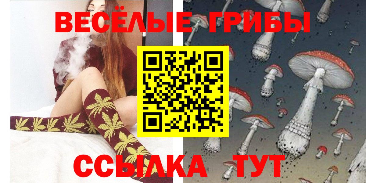 Галлюциногенные грибы Psilocybe Барабинск