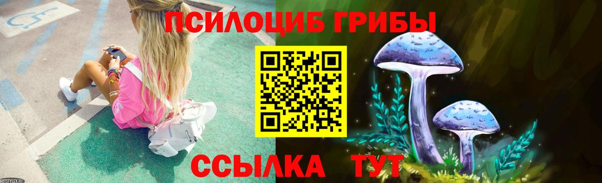 магазин  наркотиков  Вход с VPN  Барабинск  Галлюциногенные грибы Psilocybe 